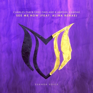 Обложка для Charles Tsai, Greg Oakland, Harshil Kamdar feat. Alina Renae - See Me Now