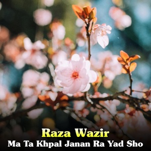 Обложка для Raza Wazir - Tar Toro Khawro Landi