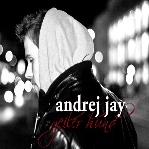 Обложка для Andrej Jay feat. Serk feat. Serk - Lass los