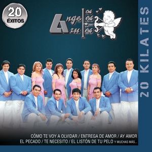 Обложка для Los Ángeles Azules - El Pecado