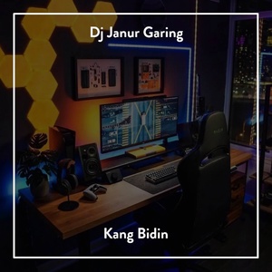 Обложка для Kang Bidin - DJ Janur Garing