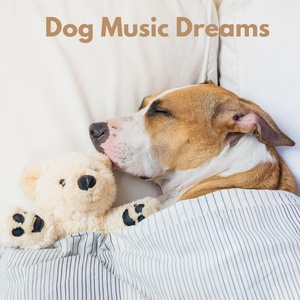 Обложка для Pet Care Music Therapy - Deep Sleep Dog
