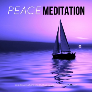 Обложка для Kurt Oasis - Asian Zen Spa Music Meditation
