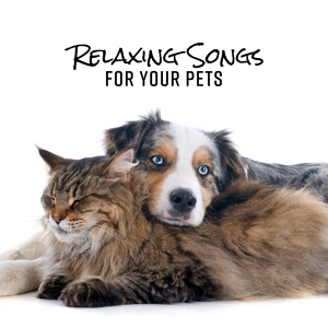 Обложка для Pet Music Academy - Healing Touch