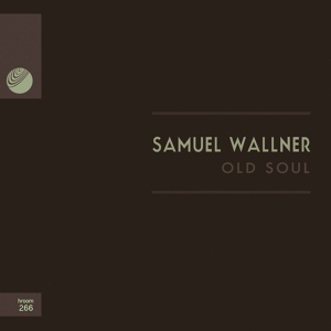 Обложка для Samuel Wallner - Who Is Who Again