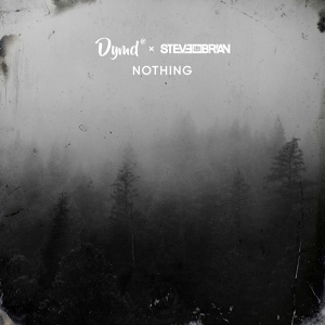 Обложка для Dymd, Steve Brian - Nothing