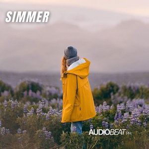 Обложка для AudioBeatPH - Simmer