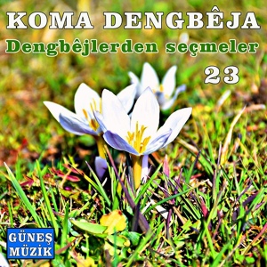 Обложка для Koma Dengbeja - Gule