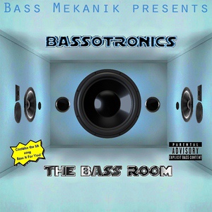 Обложка для Bassotronics - Bass It for You