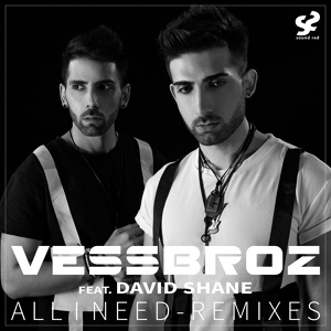 Обложка для Vessbroz feat. David Shane - All I Need