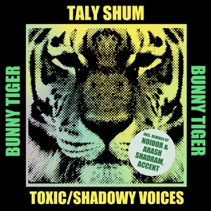 Обложка для Taly Shum - Toxic (Accent (ofc) Remix)