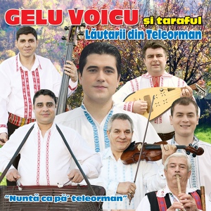 Обложка для Gelu Voicu feat. Taraful Lăutarii Din Teleorman - Periniţa