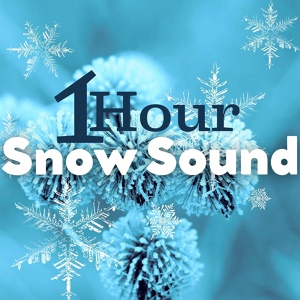 Обложка для Samuel Soft - Snow Sound: 1 Hour of Arctic White Noise for Cozy Winter