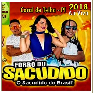 Обложка для Forró Du Sacudido - Dança do peru - Ao Vivo