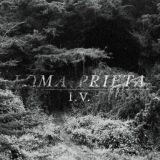 Обложка для Loma Prieta - Diamond Tooth