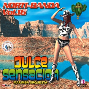 Обложка для Marimba Orquesta Dulce Sensacion - Tequila