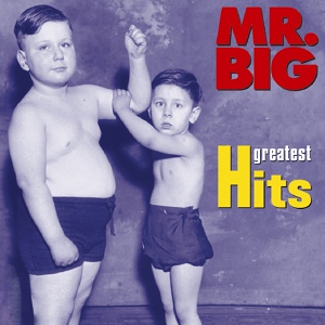 Обложка для Mr. Big - Big Love (Remastered)