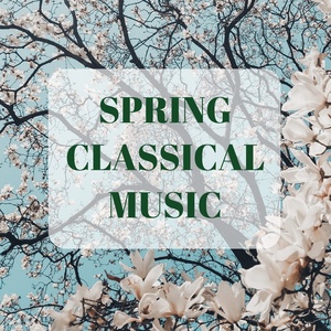 Обложка для Orchestre de chambre Paul Kuentz, Paul Kuentz - Casse-Noisette Suite, Op. 71a: III. Valses des fleurs. Tempo di Valse
