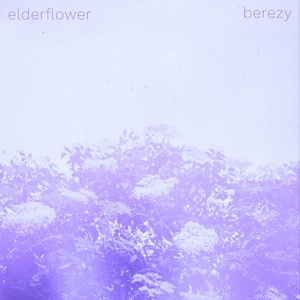 Обложка для Berezy - Elderflower