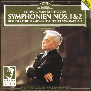 Обложка для Ludwig Van Beethoven (исп. Караян) - Симфония 2 - 4. Allegro molto
