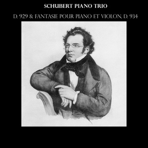 Обложка для Hermann Busch, Adolf Busch, Rudolf Serkin - Schubert: Piano Trio No. 2 in E flat major, D. 929 (Op. 100): I - Allegro