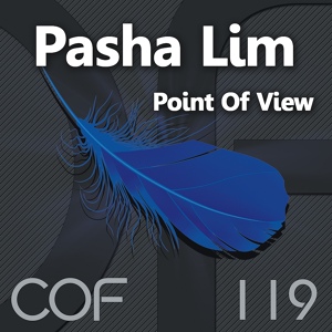 Обложка для Pasha Lim - Point Of View