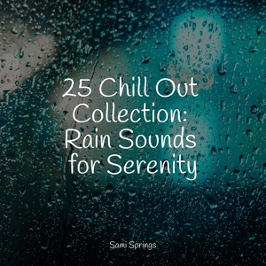 Обложка для Rain Sounds Sleep, Namaste Healing Yoga, Sonido Del Bosque y Naturaleza - Stormy Streets