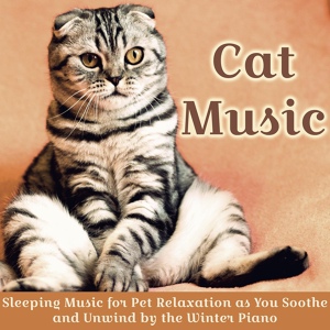 Обложка для RelaxMyCat, Cat Music Zone, Pet Music Therapy - Feather