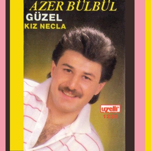 Обложка для Azer Bülbül - Üzülmedim ki