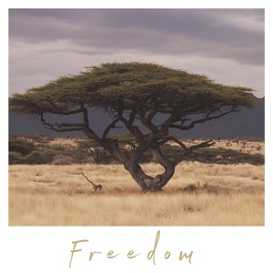 Обложка для Avid The Architect - Freedom