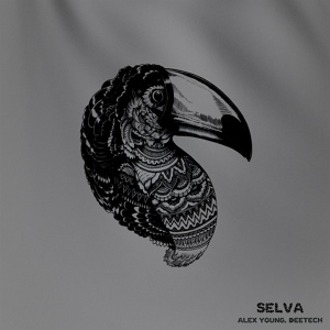 Обложка для Alex Young, Deetech - Selva