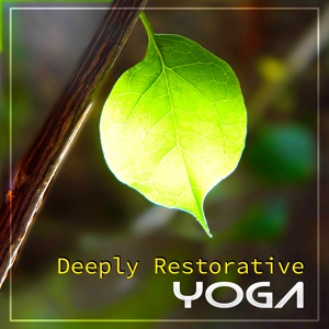 Обложка для Hatha Yoga Music Zone - Yoga Relaxation