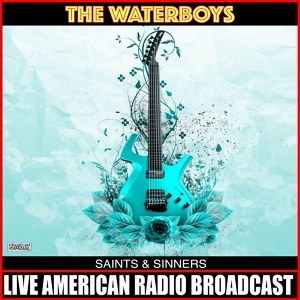 Обложка для The Waterboys - Medicine Bow