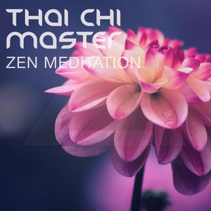 Обложка для Thai Chi Master - Shikantaza Meditation
