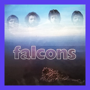 Обложка для Falcons - Perdido en El Universo