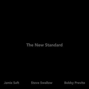 Обложка для Jamie Saft, Steve Swallow and Bobby Previte - Blue Shuffle