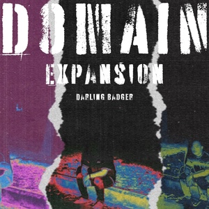 Обложка для Darling Badger - DOMAIN EXPANSION