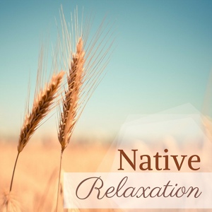 Обложка для Shakti Deva Kaur & Native American Indian Meditation - Native Relaxation