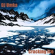 Обложка для DJ Umka - Cracking Ice