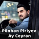 Обложка для Punhan Piriyev - Ay Ceyran