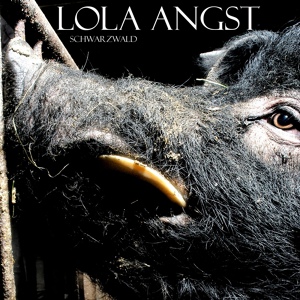 Обложка для Lola Angst - America Will Not Get You