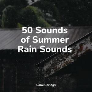 Обложка для Rainy Sounds, Tinnitus Aid, Instrumental - Rainflows