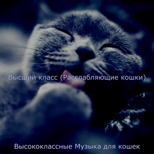 Обложка для Высококлассные Музыка для кошек - Видения (Кошки)