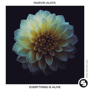 Обложка для Marvin Aloys - Everything Is Alive