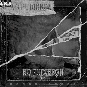 Обложка для xie_mc - No Pudieron!