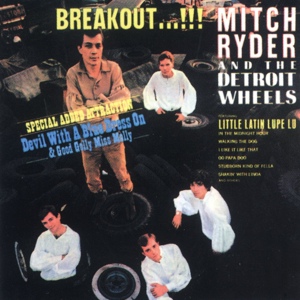 Обложка для Mitch Ryder & The Detroit Wheels - I Had It Made