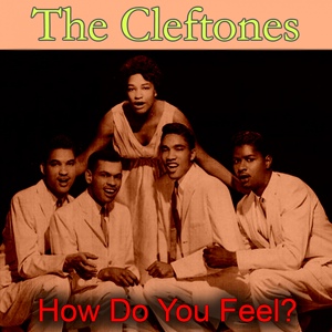Обложка для The Cleftones - She's Gone