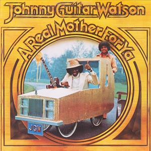 Обложка для Johnny Guitar Watson - Nothing Left To Be Desired