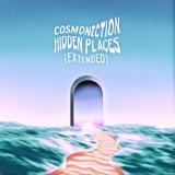 Обложка для Cosmonection - Morning Dew