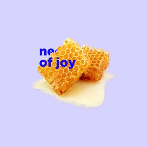 Обложка для Chambray - Nectar of Joy